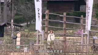 昭和枯れすすき（カラオケカバー）