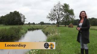 Looner diep Geke Hoogstins