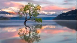 Die Liebe deines Lebens Geleitete Meditation