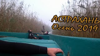 Подводная охота - Нижняя Волга. Сентябрь 2019. Сазан,Сом, Карась, Окунь.