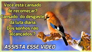 Reconstrua Seu Ninho ! ( Gilson Castilho - Mensagem Motivacional)
