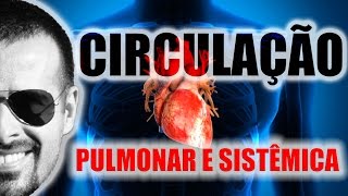 Sistema Circulatório: Circulação pulmonar e circulação sistêmica (esquema didático) - VideoAula 004