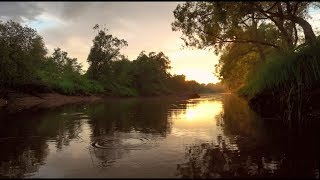 Sunset on the river | 40 minutes | relaxing video | HD 1080p