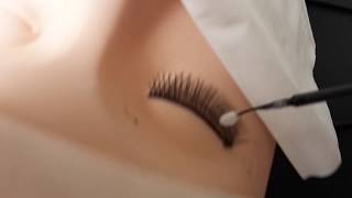 Lash Bath Routine for Lash Artist  - Our Own Branded Lash Shampoo - STEP-BY-STEP
