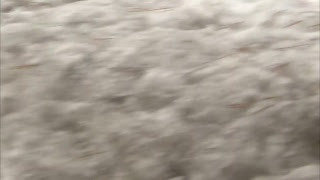 ACTIVE SHOOTER IN ROCKFORD