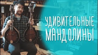Мандолины Sigma Guitars (By C.F. Martin & Co, 1970). Александр Дмитриенко из Red Brick Boys, Москва