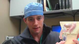 Is Testis pain a problem?