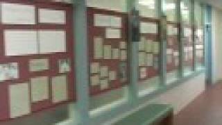 Take a tour of the Marin Humane Society!