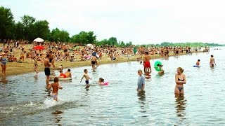 База отдыха «ОТДЫХ НА ВОЛГЕ»-Лес,Рыбалка, Пляж-песчаный берег реки