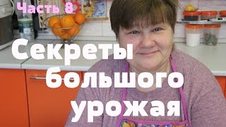 Секреты большого урожая. Часть 8.(19.03.16)