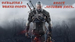 Ведьмак 3. Прохождение сюжетного квеста "Хозяйки леса", часть 3.