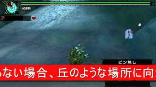 【MHP3】ウカムルバス裏世界ハメ　解説