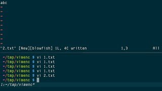 Vim file encryption