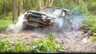 Уаз 469 на вл-30 и уаз на ободрышах по заболоченному участку.