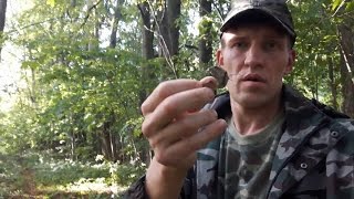 В гостях у графа. Коп у старой дороги. День 1.