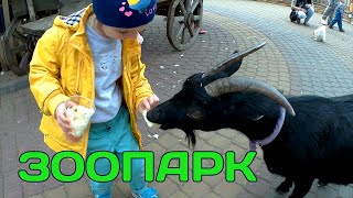 Ленинградский зоопарк для детей Кормим животных в зоопарке Sankt-petersburg Zoo Animal feed