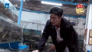贾乃亮空降菜市场 亲自下手捞大鱼 算不清钱反坑店老板 《熟悉的味道4》 EP1 花絮 20190511 [浙江卫视官方HD]