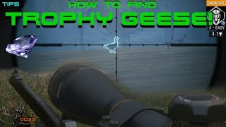 The BEST WAY To Find A Diamond CANADIAN GOOSE!! CALL OF THE WILD 2018
