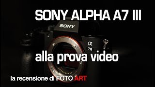 Sony alpha A7 III la mirrorless alla prove video lowlight con ottiche Zeiss e Canon