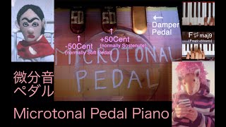 Microtonal Pedal Piano on Kontakt (for 24EDO) 　(microtonal piano)