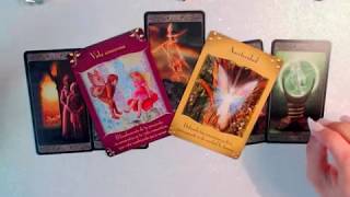 ✨Habrá cambios con esa persona especial? ?❤️proximas semanas TAROT INTERACTIVO DEL AMOR