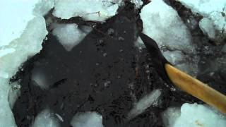TRAPPING......OTTER LAST CHECK march 2016 part2