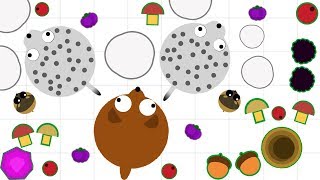 MOPE.IO - ГОЛОДНЫЕ ИГРЫ ПЕРЕД 8 МАРТА ИГРА MOPE IO