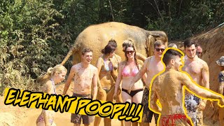 EWWW COVERED IN ELEPHANT POOP!!! | #ThailandTuesdays Ep. 8