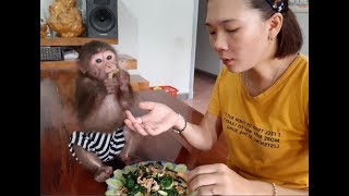 Mom And Monkey Doo Have Breakfast With Fried Noodles