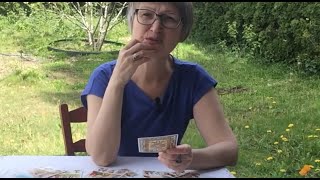 ОТКРЫВАЕМ ВСЕ ЕГО СЕКРЕТЫ ТАЙНЫЕ ПЛАНЫ ?ЕГО ИСТИННОЕ ОТНОШЕНИЯ К ВАМ. КАКИЕ У НЕГО НАМЕРЕНИЯ. КОЛЕНА