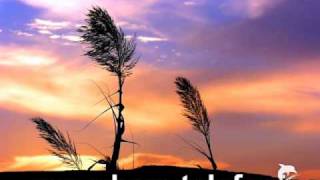 مزاحم تلفنی سکسی با شیفت شب
