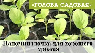 Голова садовая - Напоминалочка для хорошего урожая