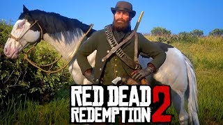 Red Dead Redemption 2 COMO CONSEGUIR EL PAINT HORSE AMERICANO | RDR2