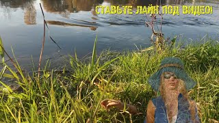 Чего ждать в ближайшее время? Послушайте очень умные вещи. Уверены вам очень понравится!