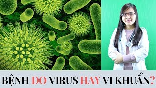 Mẹ Nhầm  Bệnh  Do Vi Khuẩn Hay Virus Gây Nguy Hiểm Cho Con
