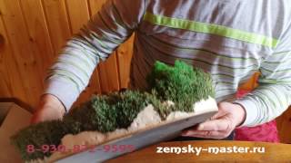 Видео стабилизированный мох