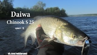 Ловля жереха на колеблющуюся блесну. Daiwa - Chinook (25 грамм)