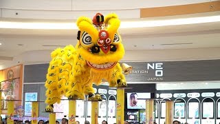 Múa Lân 2020 / LSR Thiên Ưng / Giải Lân Sư Rồng Cup Number 1
