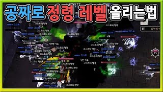 마비노기 정령 공짜로 키우는 방법