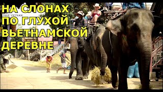 ПУТЕШЕСТВИЕ В ДАКЛАК | True Vietnam