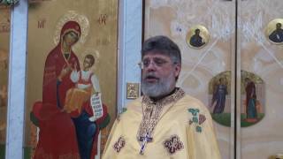 Слово перед исповедью отца Григория Григорьева 9 июля 2017 г.
