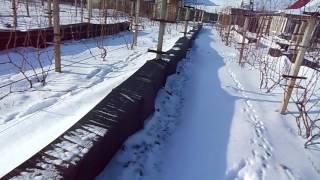 Укрытие винограда на зиму Агроволокном туннельным способом.