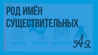 Имя существительное. Род имён существительных. Видеоурок  по русскому языку 2  класс