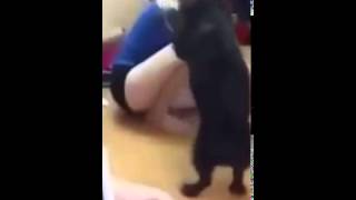 Прикол ! Озабоченый кабель НАСИЛУЕТ ДЕВУШКУ
