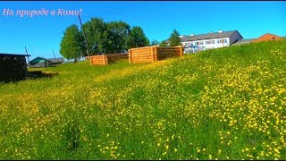 19 июня 19 года /Будни в деревне/