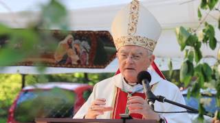 Abp H. Hoser SAC: Rodzina Miriam powstała jako odpowiedź na kryzys Kościoła (homilia z 2 VI 2017 r.)