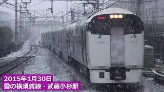 2015年1月30日 雪の武蔵小杉駅 E217系・E231系・湘南ライナーなど