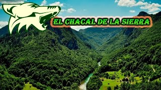 Tu Mal... Proceder  - El Chacal de La Sierra (de Guerrero)