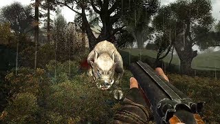 САМЫЙ ОГРОМНЫЙ КАБАН В СТАЛКЕРЕ. STALKER История Борланда. Пролог. #2