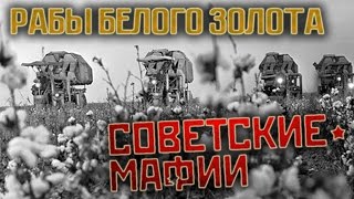 Советские мафии. Рабы белого золота